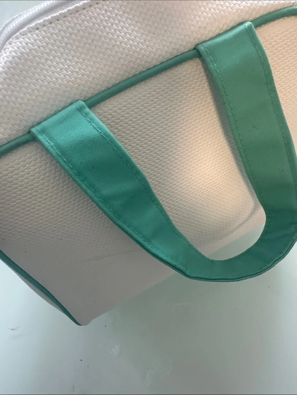 Canvas Tote Bag with Mint Green Handles